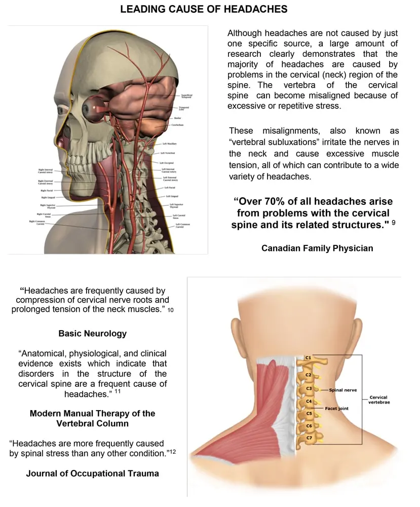 Chiropractic Kalispell MT Health Reports